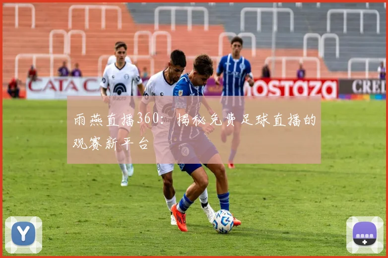 雨燕直播360：揭秘免费足球直播的观赛新平台