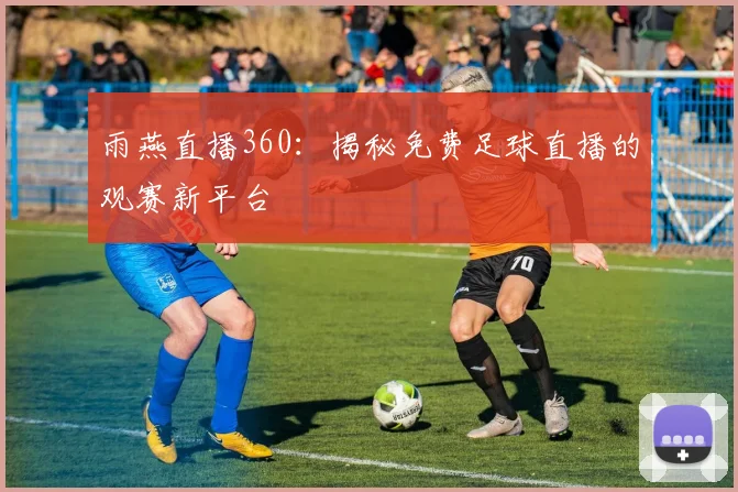 雨燕直播360：揭秘免费足球直播的观赛新平台