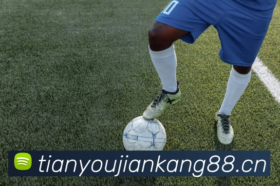 九游j9官网进入发展历程